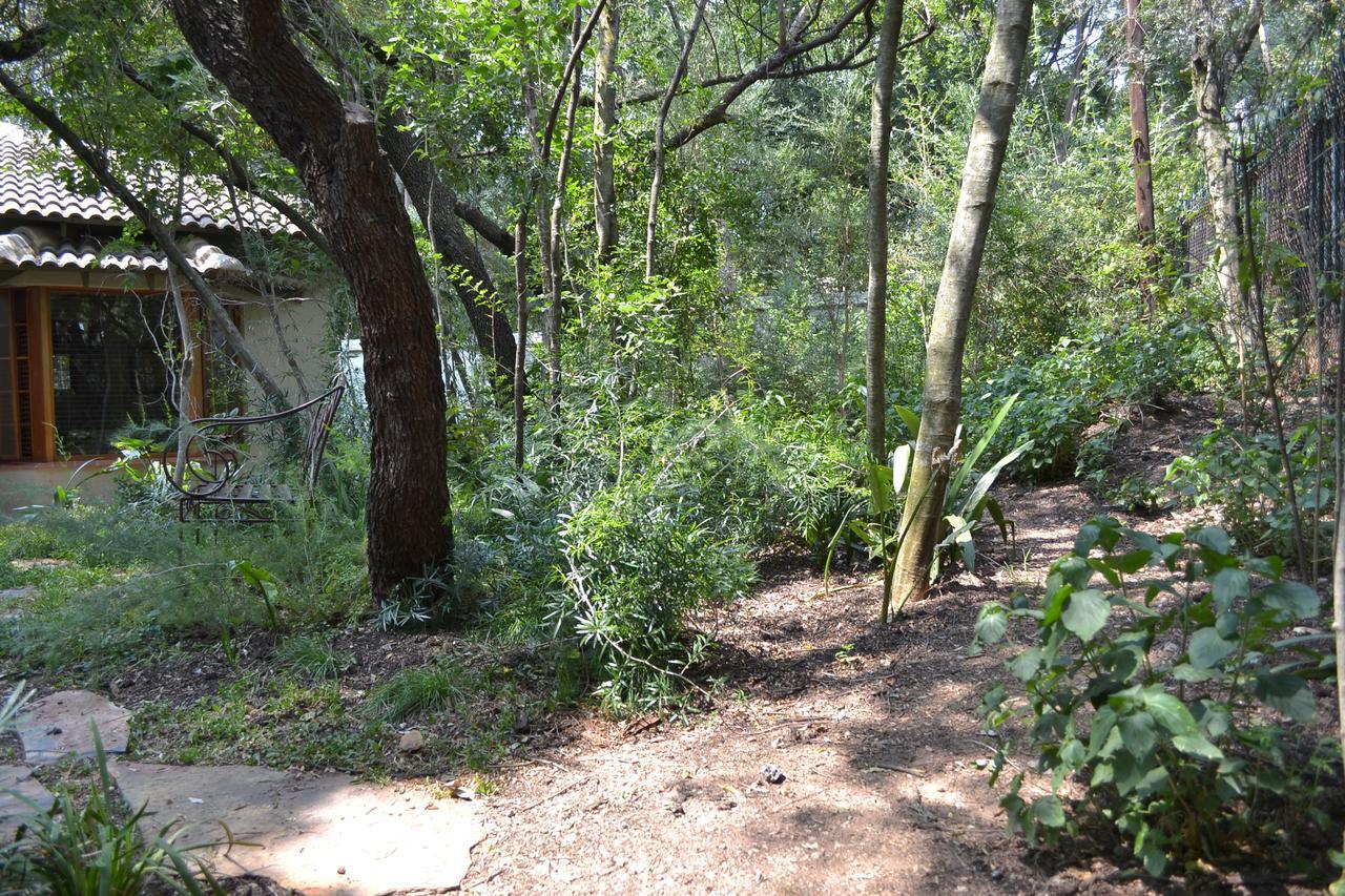 Lydall Wild Tranquil Garden Suites Johannesburg Bagian luar foto